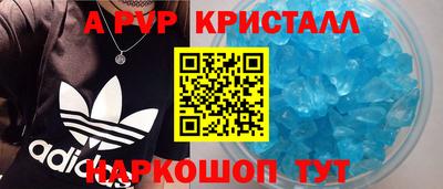 дмт Кингисепп