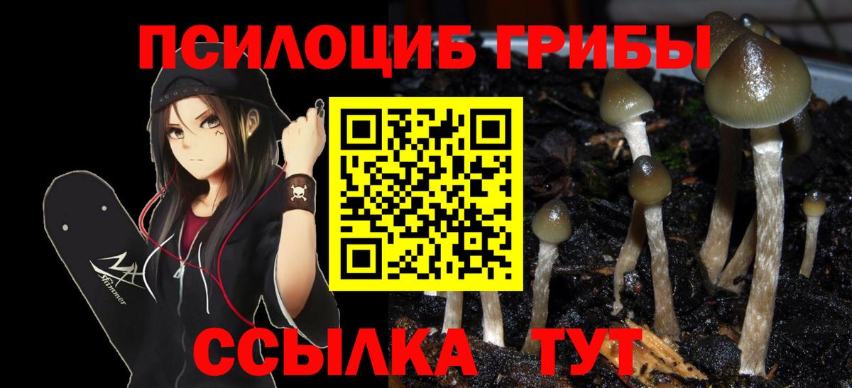 Псилоцибиновые грибы мицелий Кимры